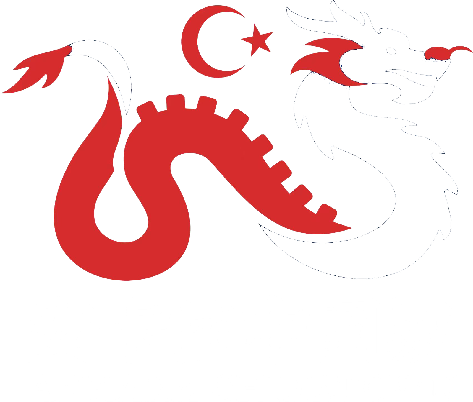 China Town Ankara